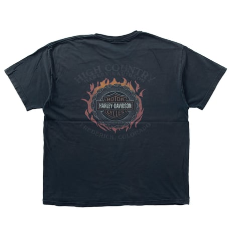 HARLEY DAVIDSON 2005 got asphalt? FITS XL 0237