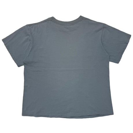 KERMIT Calvin Klein PARODY SLATE CHANGES XL 0878