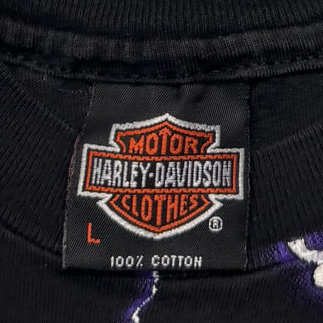 HARLEY DAVIDSON THUNDER & LIGHTNING OVP LARGE 4367