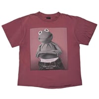 KERMIT CALVIN KLEIN PARODY PULM CHANGES XL 1538