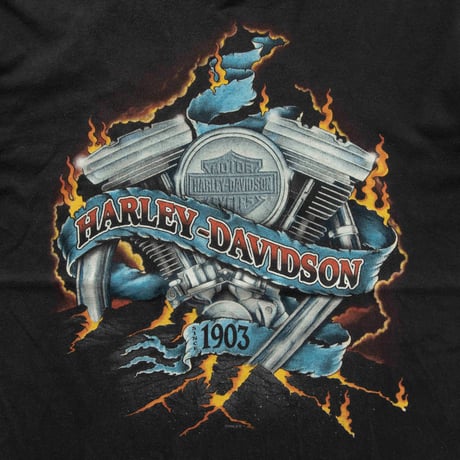 HARLEY DAVIDSON GAINESVILLE 1996 LARGE 8016