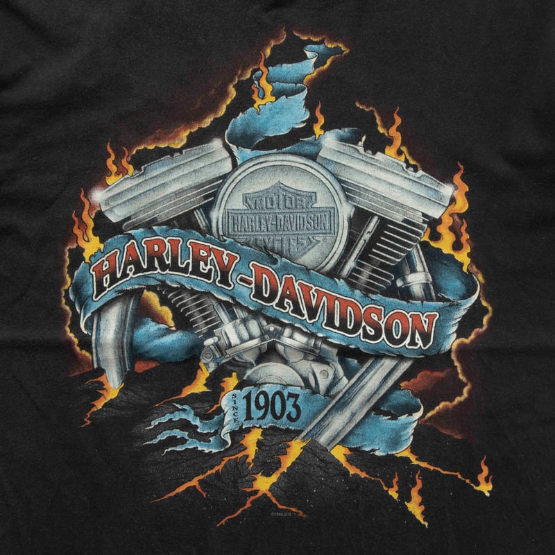 HARLEY DAVIDSON GAINESVILLE 1996 LARGE 8016 | g