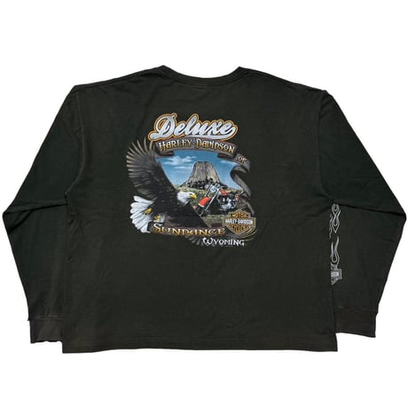 HARLEY DAVIDSON 2013 MONOCHROME FLAME LS FITS XXL 0247