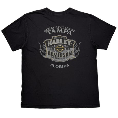 HARLEY DAVIDSON	2015 FLAME SKULL RIDER FOR LIFE XL 5027
