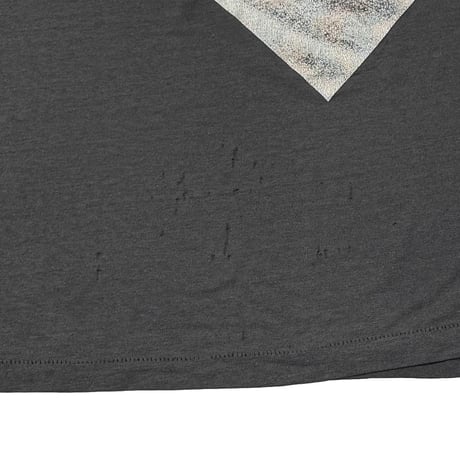 CORROSION OF CONFORMITY WHEN NOTHING REMAINS? FITS XL 4789