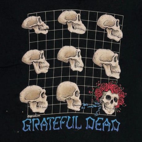 GRATEFUL DEAD EVOLUTION What a Long Strange Trip It's Been LIQUID BLUE LARGE 5655