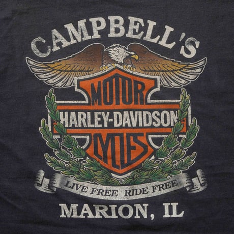 HARLEY DAVIDSON FLAME EAGLE MARION SS FITS XL 3230