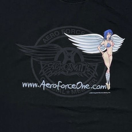 AEROSMITH AERO FORCE ONE 2004 LARGE 3689