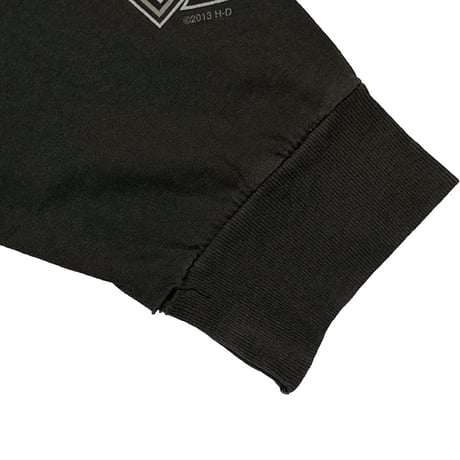 HARLEY DAVIDSON 2013 MONOCHROME FLAME LS FITS XXL 0247