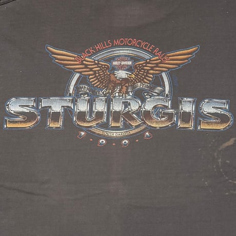 HARLEY DAVIDSON GHOST POCKET PAINTED STURGIS XXL 1111