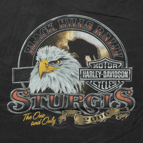 HARLEY DAVIDSON 2006 BLACK HILLS RALLY STURGIS THE ONE AND ONLY XL 9359