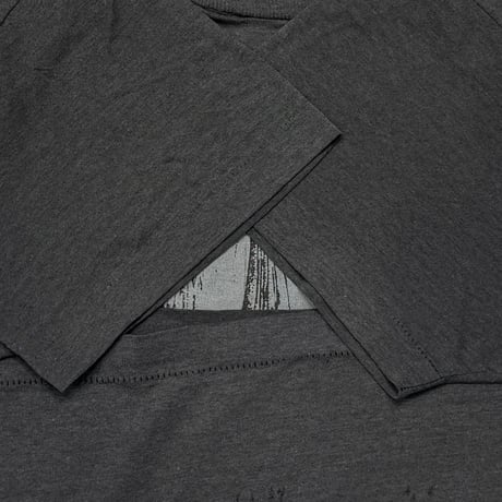 CORROSION OF CONFORMITY WHEN NOTHING REMAINS? FITS XL 4789