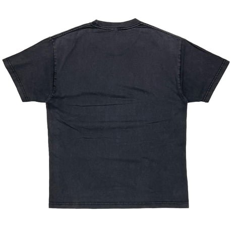ALBERT EINSTEIN 1993 SPACE ONE FEELS AS IF ONE IS DISSOLVED FITS XL 9393