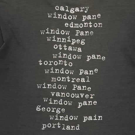PEARL JAM WINDOW PAIN FITS LARGE 0574
