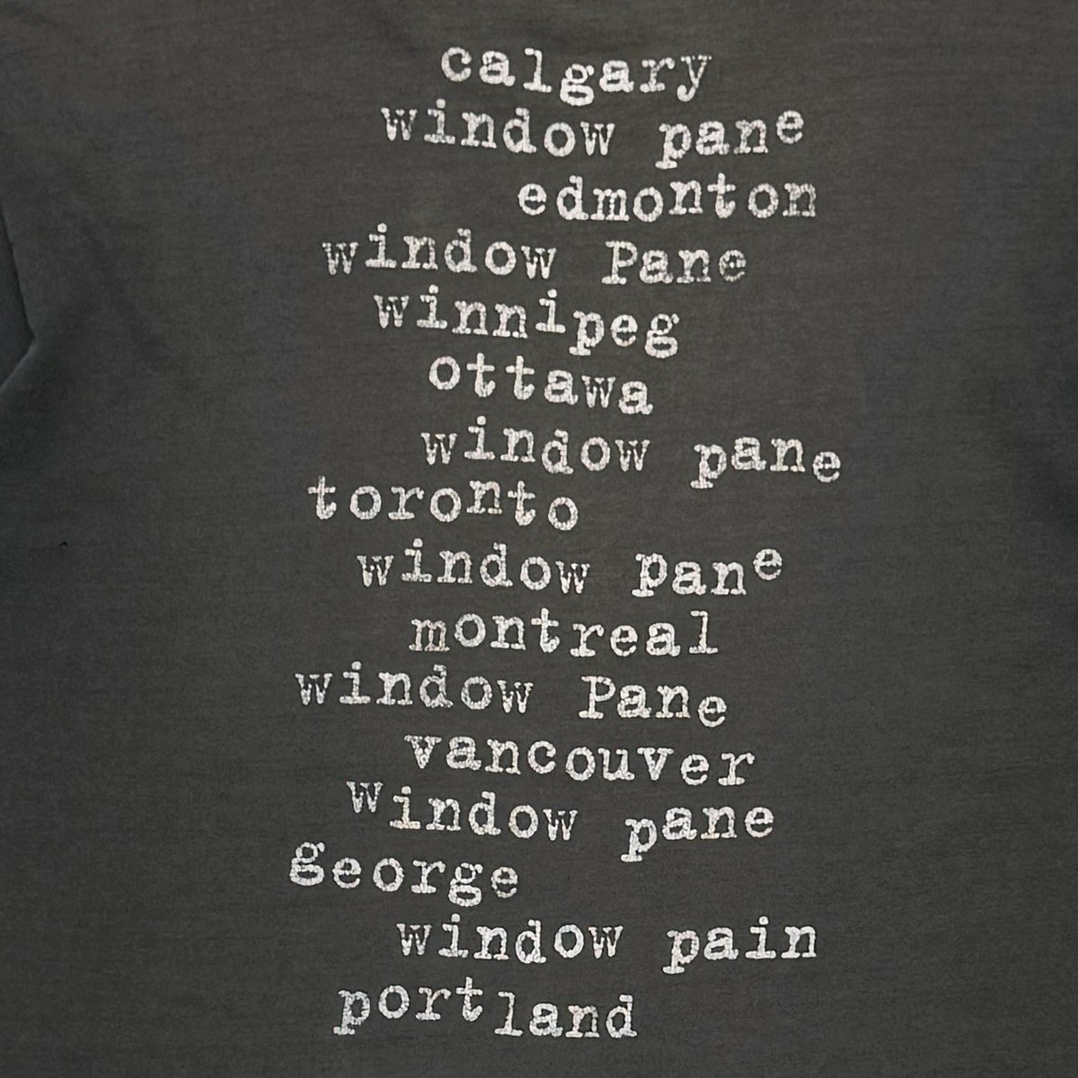 PEARL JAM WINDOW PAIN FITS LARGE 0574 | greatLA