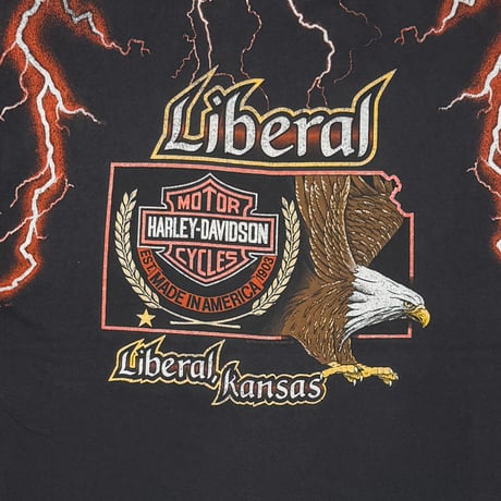 HARLEY DAVIDSON THUNDER & LIGHTNING ORANGE OVP KANSAS XL 9525