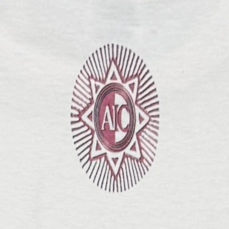 ALICE IN CHAINS JAR OF FILES WHITE NICEMAN LARGE A026