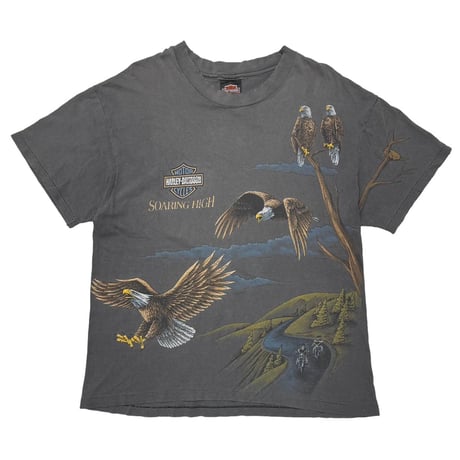 HARLEY DAVIDSON 	SOARING HIGH OHIO OVP LARGE 0919