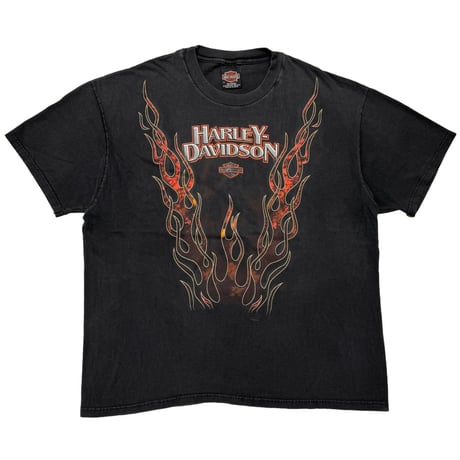 HARLEY DAVIDSON	ORANGE V FLAME STEEL XL 2285