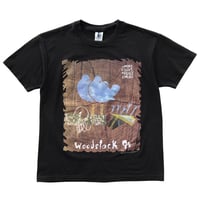 WOODSTOCK 1994 SAUGERTIES NEW YORK GEM XL 1433