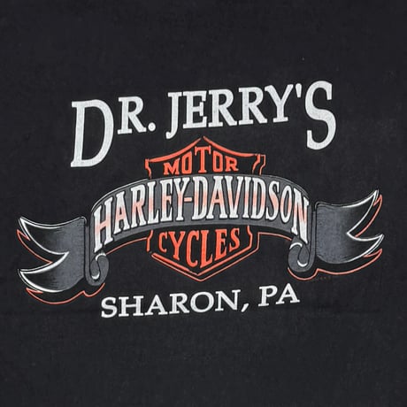 HARLEY DAVIDSON BLUE V FLAME 	DR JERRY'S SHARON SS XL 8851
