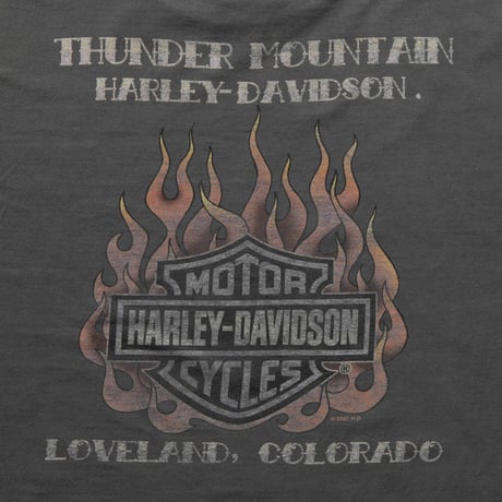 HARLEY DAVIDSON 2007 BACK FLAME THUNDER MOUNTAIN KHAKI LARGE 1000