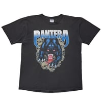PANTERA BLACK PANTHER 2002 ALL SPORT XL 1425