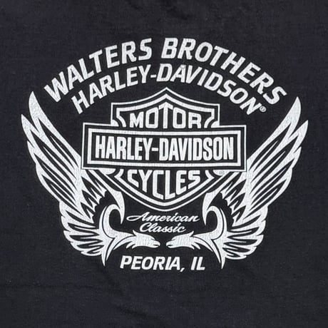 HARLEY DAVIDSON Y2K SIDE FLAME WHEEL LS BACK WELTERS BROTHERS EGLE WINGS XL 5765
