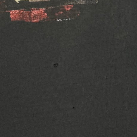 PEARL JAM WINDOW PAIN FITS LARGE 0574