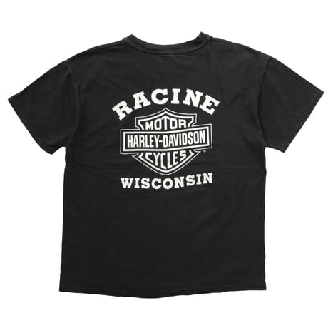 HARLEY DAVIDSON RACINE WISCONSIN 95TH LARGE 3697