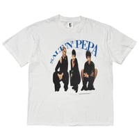 SALT-N-PEPA 1994 FRONT MEMBER VERY NECESSARY WHITE GEM XL 9310