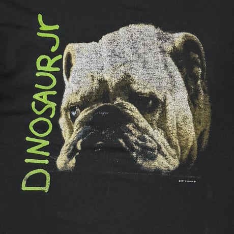 DINOSAUR Jr Whatever's Cool with Me DOG NICEMAN XL 2568