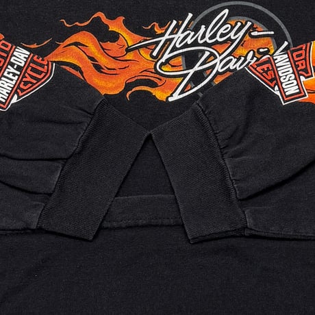 HARLEY DAVIDSON Y2K SIDE FLAME WHEEL LS BACK WELTERS BROTHERS EGLE WINGS XL 5765