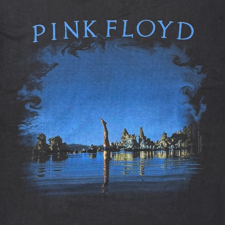 PINK FLOYD WISH YOU WERE HERE ROBOT HAND EURO FITS XL 1159
