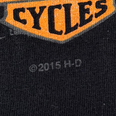 HARLEY DAVIDSON	2015 FLAME SKULL RIDER FOR LIFE XL 5027
