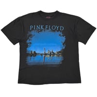PINK FLOYD WISH YOU WERE HERE ARTIMONDE LARGE