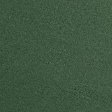 BUSH FACE PORTRAIT GREEN GIANT BY TULTEX XL 3626