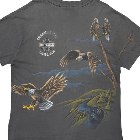 HARLEY DAVIDSON 	SOARING HIGH OHIO OVP LARGE 0919
