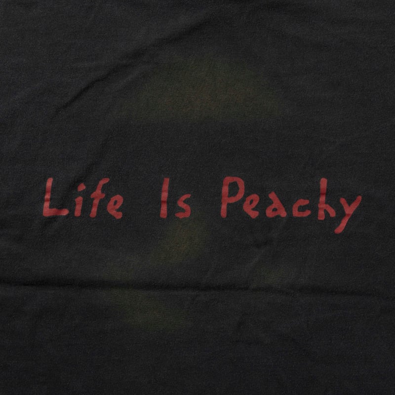 KORN LIFE IS PEACHY GIANT XL 9489 | greatLAnd O