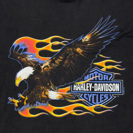 HARLEY DAVIDSON FLAMING EAGLE BLUE EMBLEM LS HANES LARGE 3084