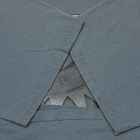 KERMIT Calvin Klein PARODY SLATE CHANGES XL 0878