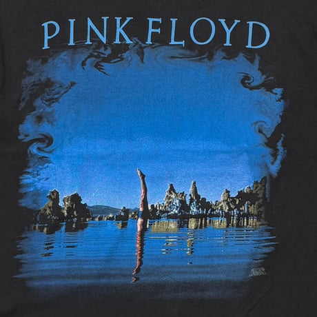 PINK FLOYD WISH YOU WERE HERE ARTIMONDE LARGE