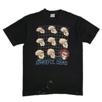 GRATEFUL DEAD EVOLUTION What a Long Strange Trip It's Been LIQUID BLUE LARGE 5655