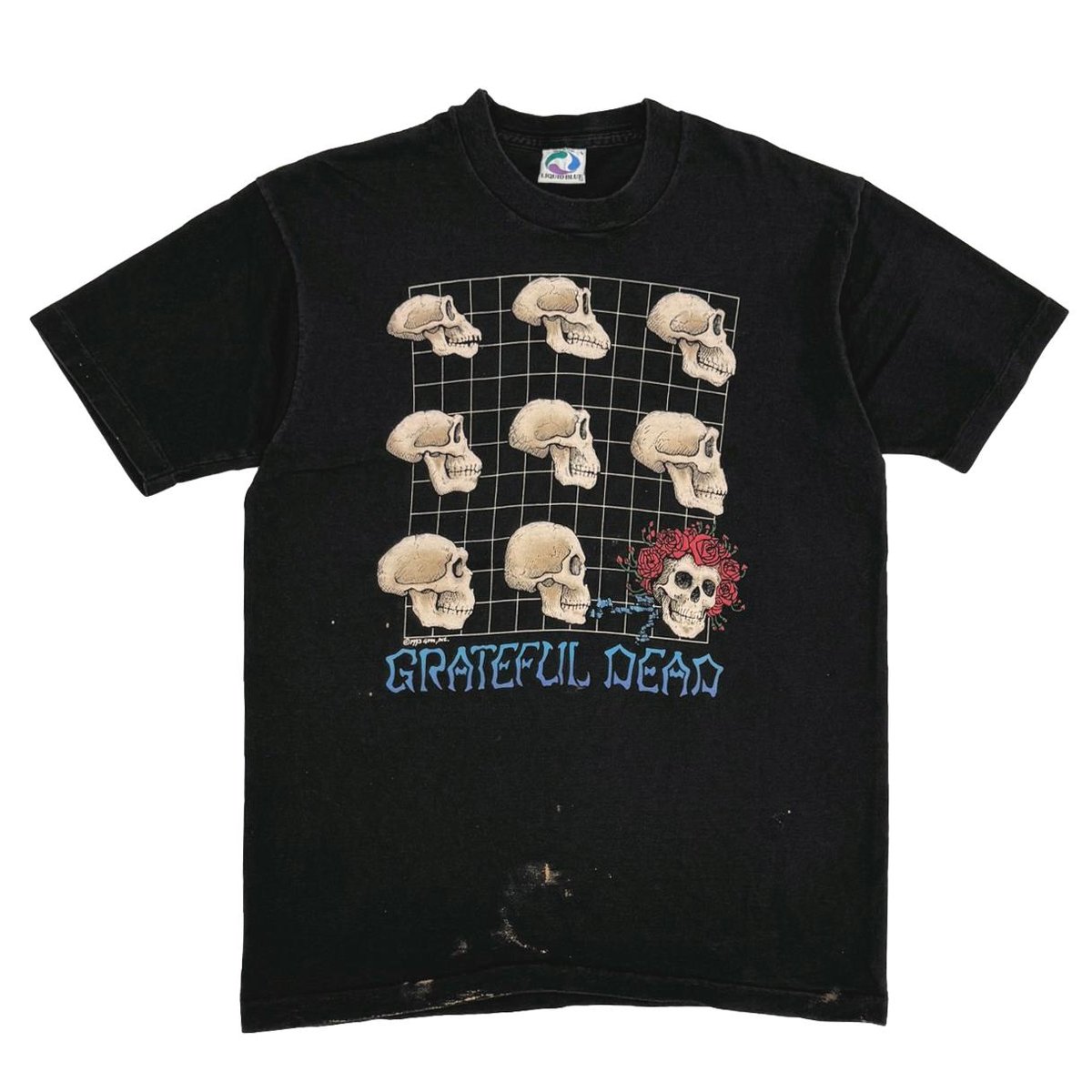 GRATEFUL DEAD EVOLUTION What a Long Strange Tri