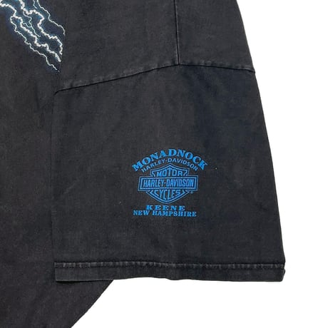 HARLEY DAVIDSON 2000 BLUE SIDE BLUE LIGHTNING NEW HAMPSHIRE XXL 0888