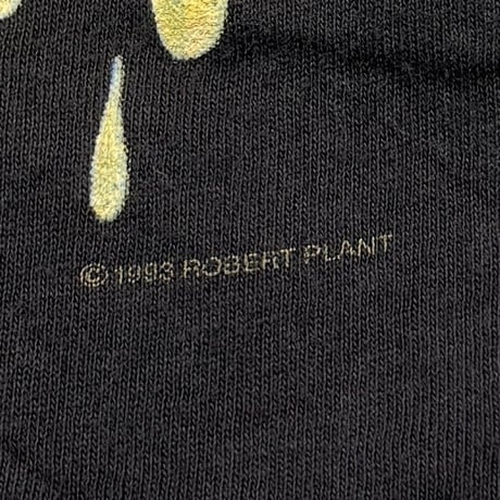 ROBERT PLANT FATE OF NATIONS WORLD TOUR GEM LARGE 2364