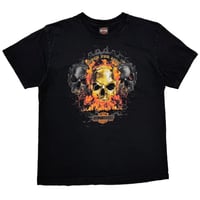HARLEY DAVIDSON	2015 FLAME SKULL RIDER FOR LIFE XL 5027