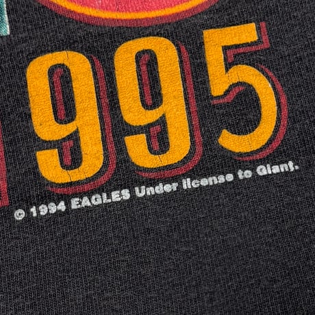 EAGLES HELL FREEZES OVER 1995 GIANT BY TULTEX XL 8139