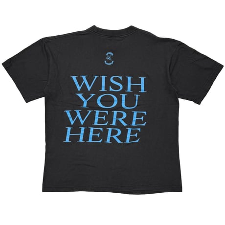PINK FLOYD WISH YOU WERE HERE ARTIMONDE LARGE