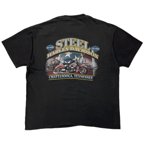 HARLEY DAVIDSON	ORANGE V FLAME STEEL XL 2285
